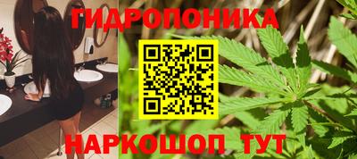 спайс Будённовск