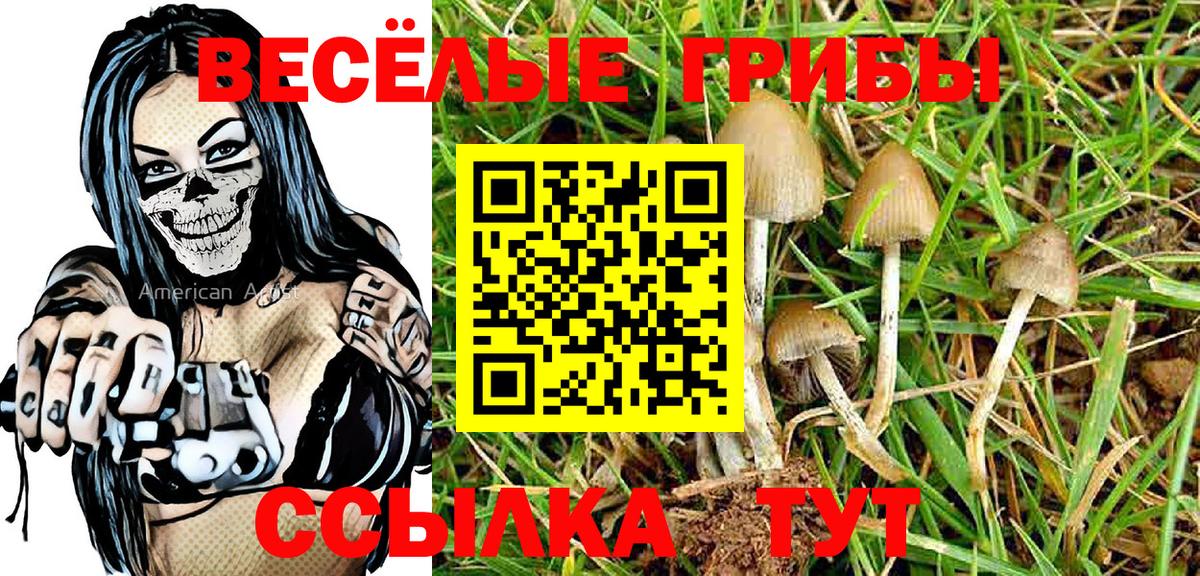 Псилоцибиновые грибы Cubensis Павловский Посад